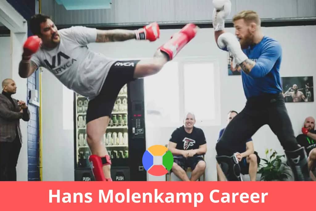 Hans Molenkamp career