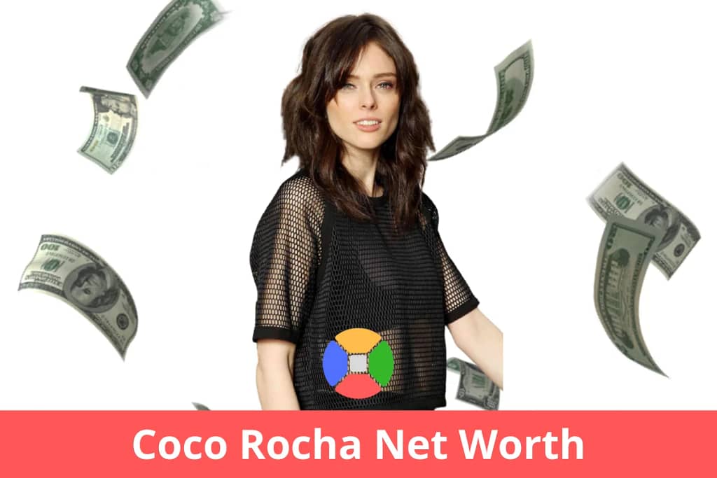 Coco Rocha net worth